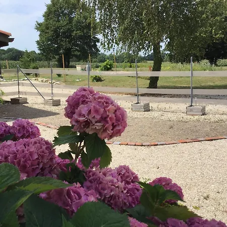 Lucie Hébergement de vacances Treffort (Ain)