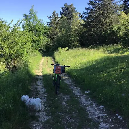 Hébergement de vacances Lucie *